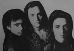 primer disco abejorros